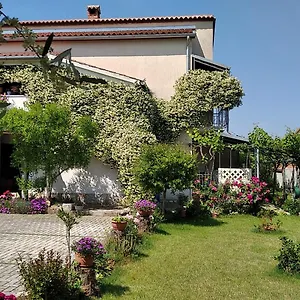 Sasa Bozac Porec