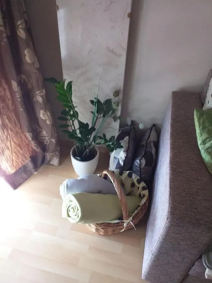 Luxury Apartments Sonja 波雷奇 克罗地亚